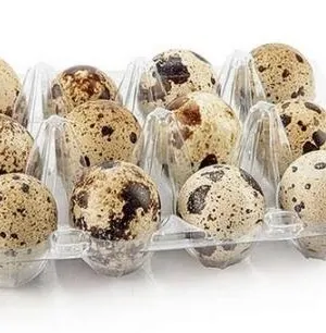 Quail eggs